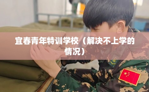 宜春青年特训学校（解决不上学的情况）