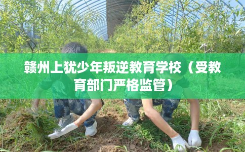 赣州上犹少年叛逆教育学校（受教育部门严格监管）