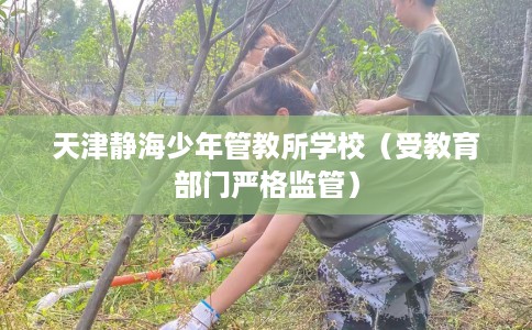 天津静海少年管教所学校（受教育部门严格监管）