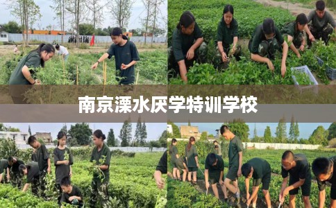 南京溧水厌学特训学校