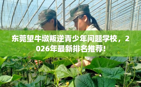 东莞望牛墩叛逆青少年问题学校，2026年最新排名推荐!