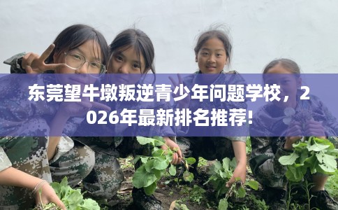 东莞望牛墩叛逆青少年问题学校，2026年最新排名推荐!