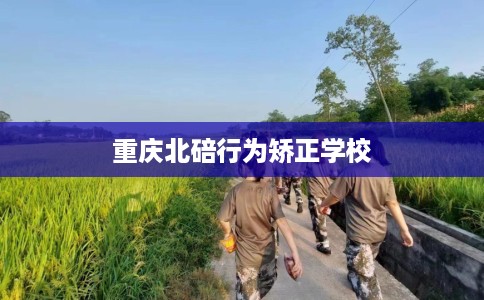重庆北碚行为矫正学校