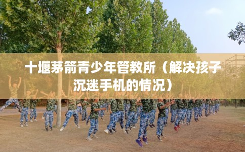 十堰茅箭青少年管教所（解决孩子沉迷手机的情况）