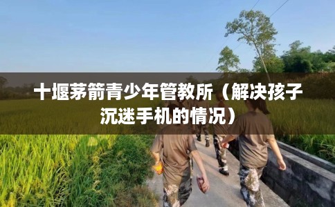十堰茅箭青少年管教所（解决孩子沉迷手机的情况）
