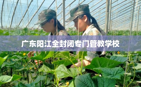 广东阳江全封闭专门管教学校