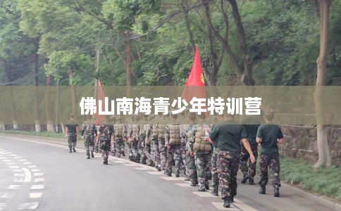 佛山南海青少年特训营