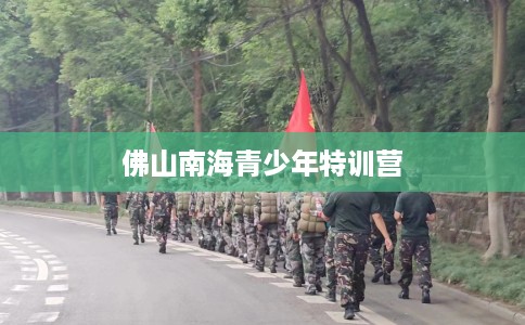 佛山南海青少年特训营