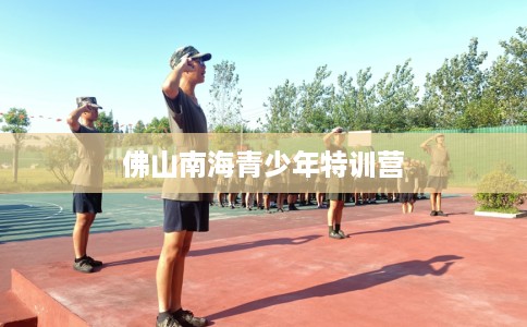 佛山南海青少年特训营