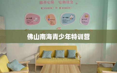 佛山南海青少年特训营