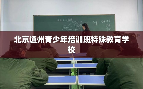 北京通州青少年培训班特殊教育学校