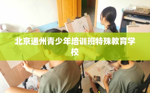北京通州青少年培训班特殊教育学校