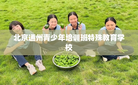 北京通州青少年培训班特殊教育学校