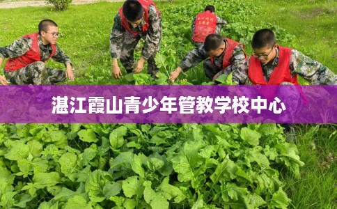 湛江霞山青少年管教学校中心