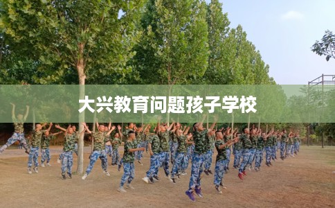 大兴教育问题孩子学校