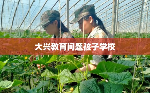 大兴教育问题孩子学校