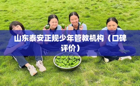 山东泰安正规少年管教机构（口碑评价）