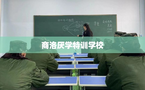 商洛厌学特训学校
