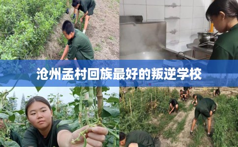 沧州孟村回族最好的叛逆学校