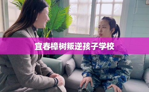 宜春樟树叛逆孩子学校