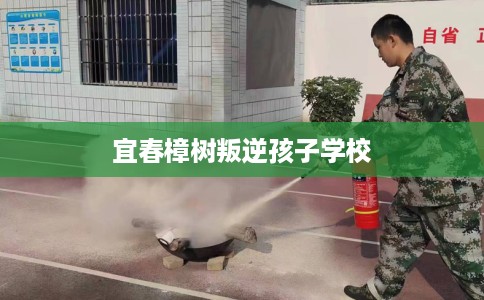 宜春樟树叛逆孩子学校