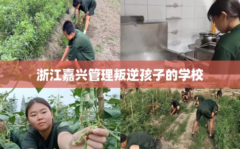 浙江嘉兴管理叛逆孩子的学校