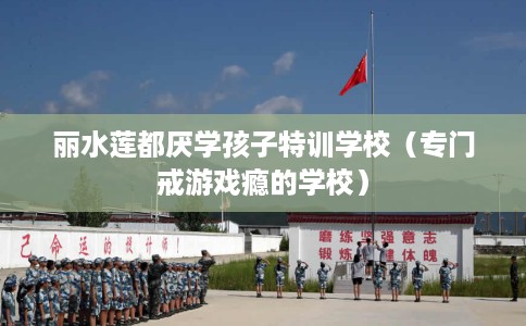 丽水莲都厌学孩子特训学校（专门戒游戏瘾的学校）