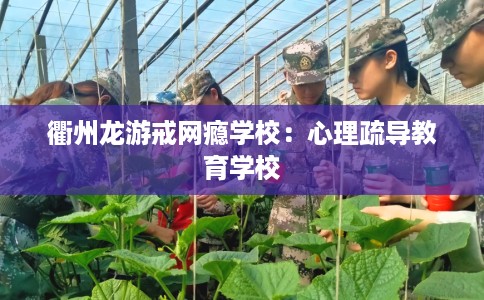 衢州龙游戒网瘾学校：心理疏导教育学校
