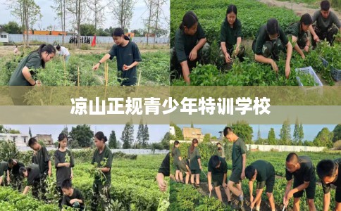 凉山正规青少年特训学校