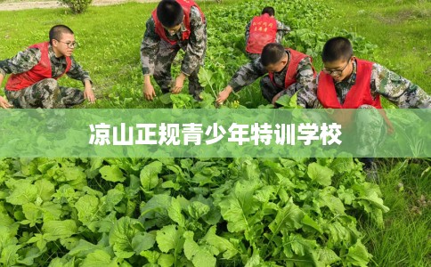 凉山正规青少年特训学校