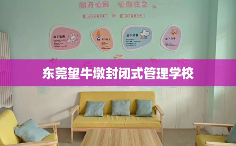 东莞望牛墩封闭式管理学校