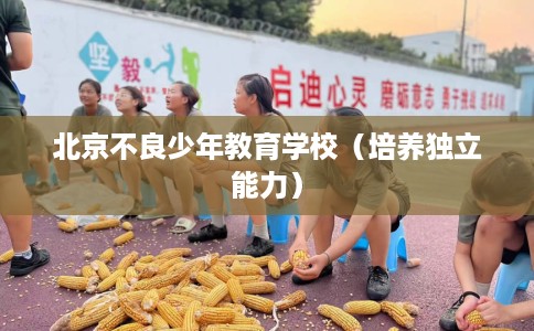 北京不良少年教育学校（培养独立能力）