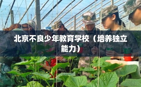 北京不良少年教育学校（培养独立能力）