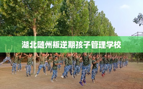湖北随州叛逆期孩子管理学校