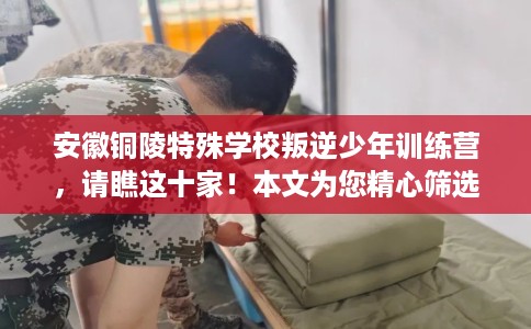 安徽铜陵特殊学校叛逆少年训练营，请瞧这十家！本文为您精心筛选！