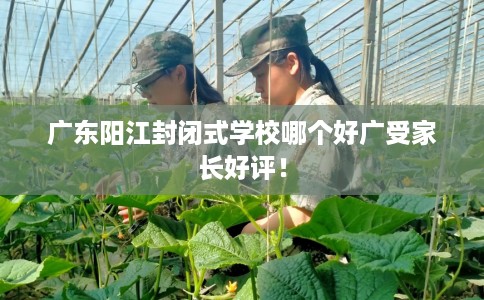广东阳江封闭式学校哪个好广受家长好评！