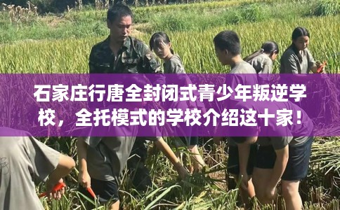 石家庄行唐全封闭式青少年叛逆学校，全托模式的学校介绍这十家！