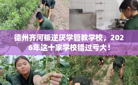 德州齐河叛逆厌学管教学校，2026年这十家学校错过亏大！