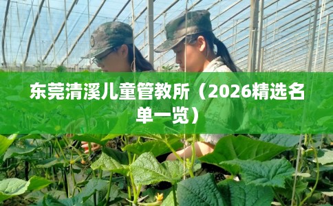 东莞清溪儿童管教所（2026精选名单一览）