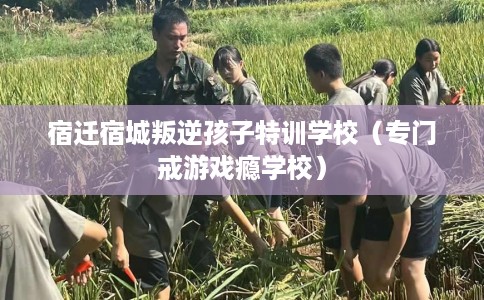 宿迁宿城叛逆孩子特训学校（专门戒游戏瘾学校）