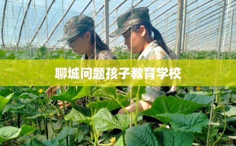 聊城问题孩子教育学校