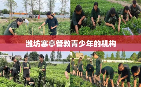 潍坊寒亭管教青少年的机构
