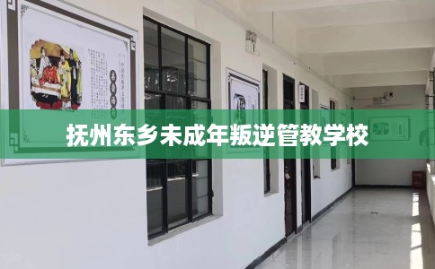 抚州东乡未成年叛逆管教学校