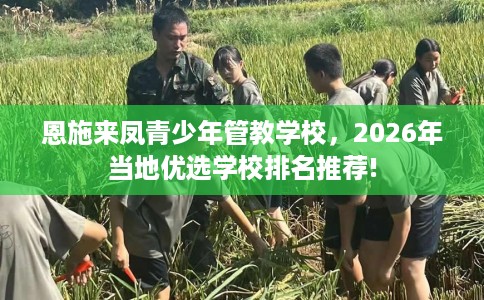 恩施来凤青少年管教学校，2026年当地优选学校排名推荐!