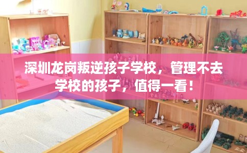 深圳龙岗叛逆孩子学校，管理不去学校的孩子，值得一看！