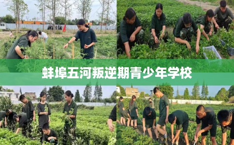蚌埠五河叛逆期青少年学校