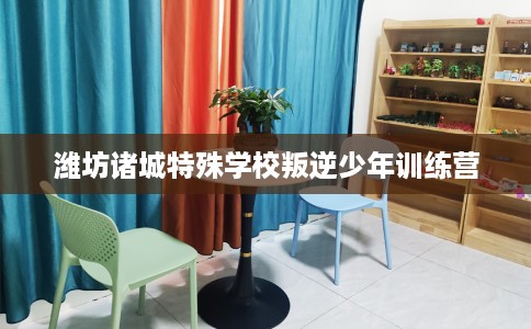 潍坊诸城特殊学校叛逆少年训练营