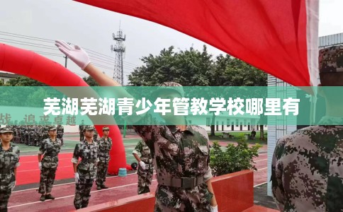 芜湖芜湖青少年管教学校哪里有