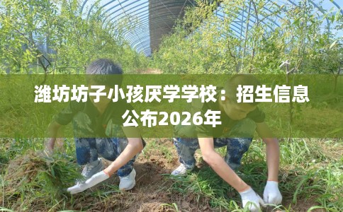 潍坊坊子小孩厌学学校：招生信息公布2026年