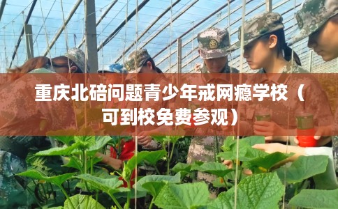 重庆北碚问题青少年戒网瘾学校（可到校免费参观）